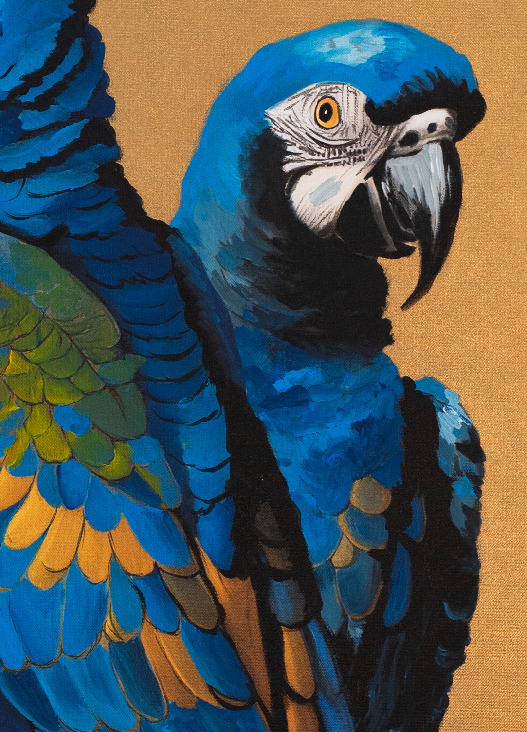 Two Blue Parrots